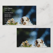 鉄のフェンに見る茶色の耳を搭載する黄色い子犬 名刺 (正面/裏面)