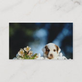 鉄のフェンに見る茶色の耳を搭載する黄色い子犬 名刺 (裏面)