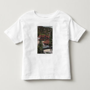 鉄は場所及びホテルコグの道のはねます トドラーTシャツ