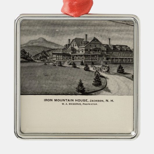 鉄山の家、ジャクソン、NH メタルオーナメント (正面)