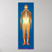 鉄腕の男 ポスター (正面)