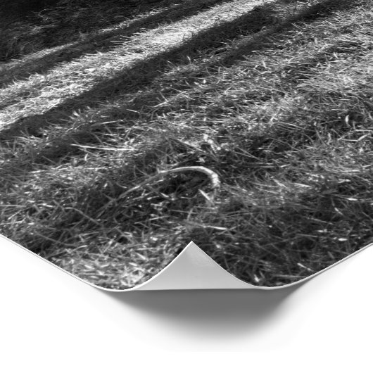 鉄道の木 ポスター (角)