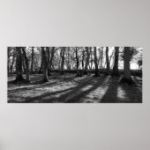 鉄道の木 ポスター (正面)