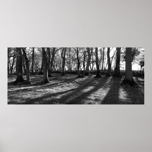 鉄道の木 ポスター (正面)