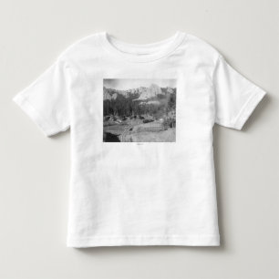 鉄道線路を越えるBuckhorn山 トドラーTシャツ