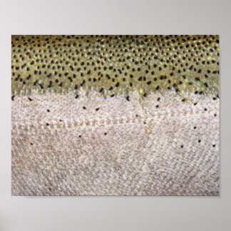 鉄頭マスのポスター ポスター