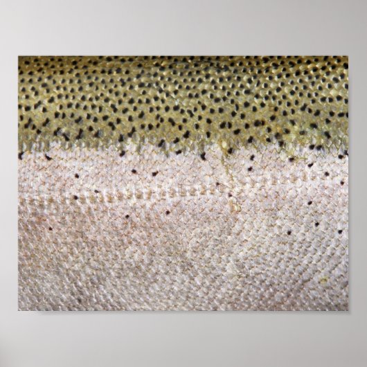 鉄頭マスのポスター ポスター (正面)