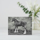 鉄馬スティール ポストカード (スタンド正面)