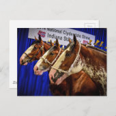 鉄馬3の頭部 ポストカード (正面/裏面)