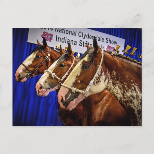 鉄馬3の頭部 ポストカード (正面)