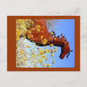 鉄馬 ポストカード (正面)