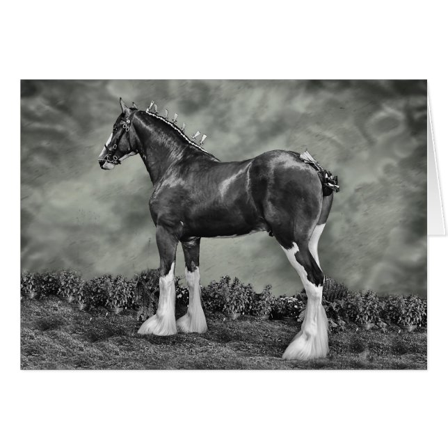 鉄馬Steele (正面横)