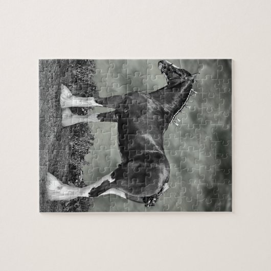 鉄馬Steele ジグソーパズル (横)