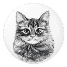 鉛筆のスケッチ猫の顔の引出しはノブを引っ張ります