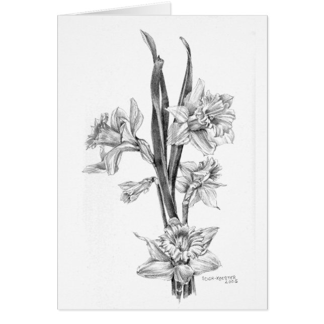 鉛筆のラッパスイセン (正面)