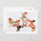 鉛筆削り ポストカード (正面/裏面)