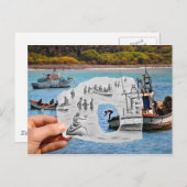 鉛筆対カメラ-人魚 ポストカード (正面/裏面)