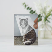 鉛筆対カメラ- 4つの目猫 ポストカード (スタンド正面)