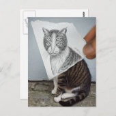 鉛筆対カメラ- 4つの目猫 ポストカード (正面/裏面)