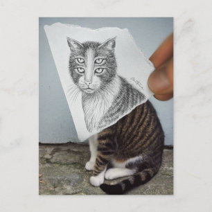 鉛筆対カメラ- 4つの目猫 ポストカード