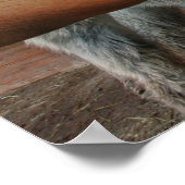 鉛筆Vsカメラ – ロバ熱狂するー ポスター (角)