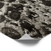 鉛筆Vsカメラ – 口 ポスター (角)