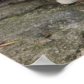 鉛筆Vsカメラ – 4 Eyes Cat ポスター (角)