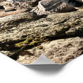 鉛筆Vsカメラ – Shark ポスター (角)