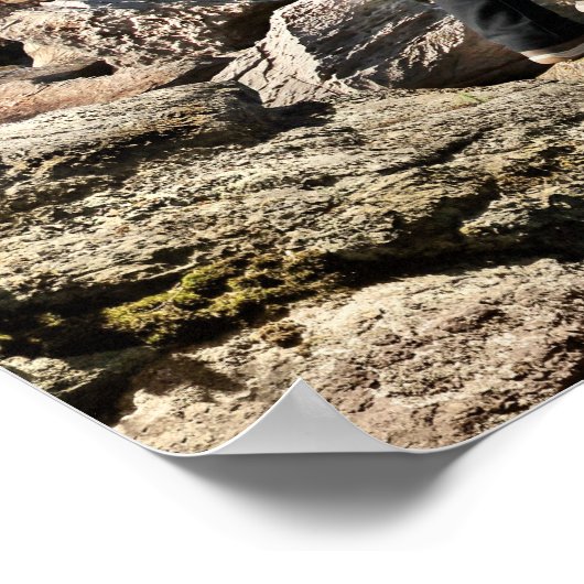 鉛筆Vsカメラ – Shark ポスター (角)