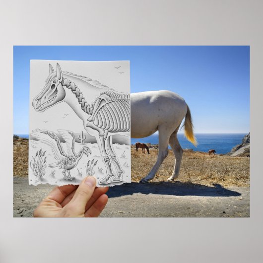 鉛筆Vsカメラ – X線 ポスター (正面)