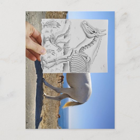 鉛筆Vsカメラ – X線 ポストカード (正面)