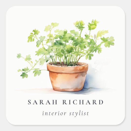 鉢付きハーブパセリーコリアンダー水彩植物学 スクエアシール (正面)