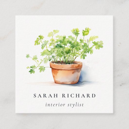 鉢付きハーブパセリーコリアンダー水彩植物学 スクエア名刺 (正面)