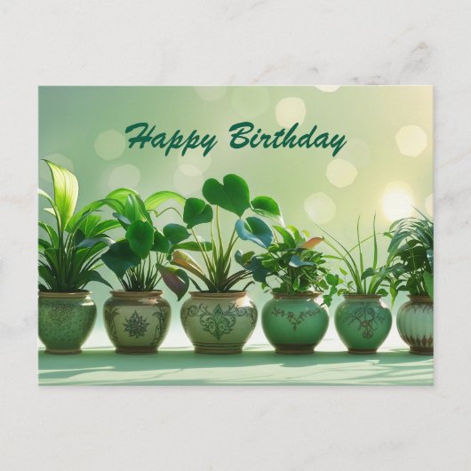 鉢植えのグリーンハウスプランツの誕生日おめでとう ポストカード (正面)