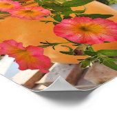 鉢植えのサンゴ色のペチュニア ポスター (角)