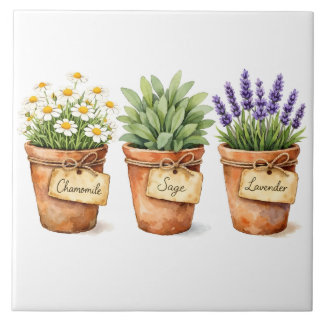 鉢植えのハーブの水彩画  タイル