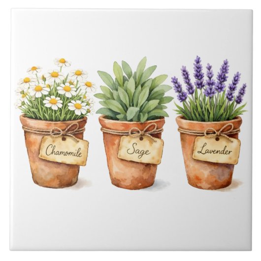 鉢植えのハーブの水彩画  タイル (正面)