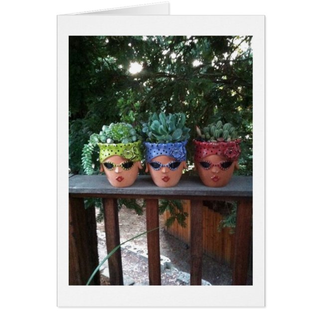 鉢植えは、あなたが**50**であると畏敬の念を抱いて言う (正面)