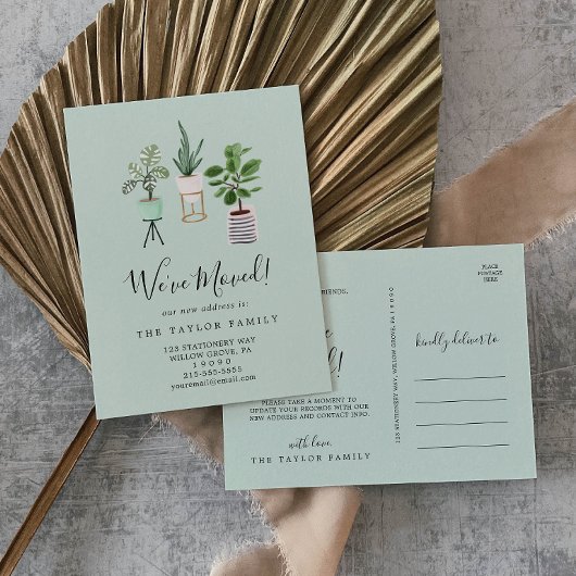 鉢植え植物 |ミント引っ越しました移動 案内ポストカード