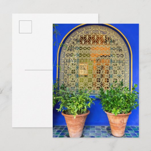 鉢植え ポストカード (正面/裏面)