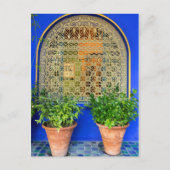 鉢植え ポストカード (正面)