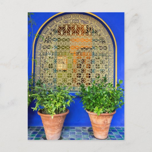 鉢植え ポストカード (正面)