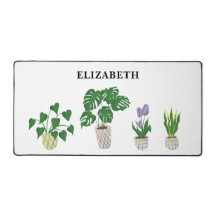 鉢植パーソナライズされたえ熱帯性モンステラグリーン