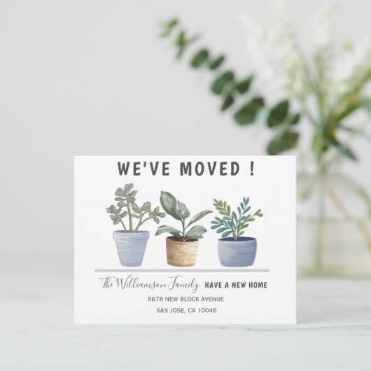 鉢植モダン物引っ越しました発表 案内ポストカード (スタンド正面)