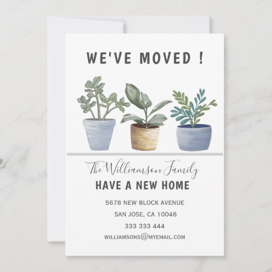 鉢植モダン物引っ越しました発表 案内状 (正面)