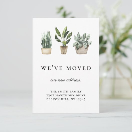 鉢植素朴物引っ越しました発表 招待状 (スタンド正面)