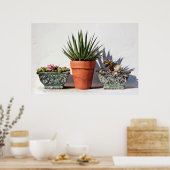 鉢状の多肉株 ポスター (キッチン)