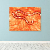 鉤虫の顕微鏡的見解2 キャンバスプリント (インサイチュ (ウッドフロア))