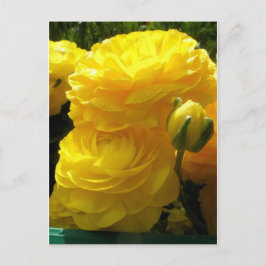 鉱山を黄色にする ポストカード