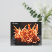 鉱物及び宝石# 164 ポストカード (スタンド正面)